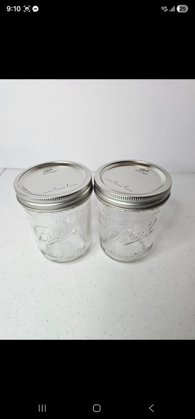 Set of 2 wide mouth Mason jars